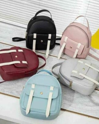 Portable Ladies Handbag